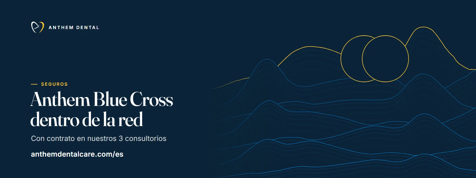 Banner ilustrado en azul noche con líneas de contorno de Anthem Dental, página del plan Anthem Blue Cross