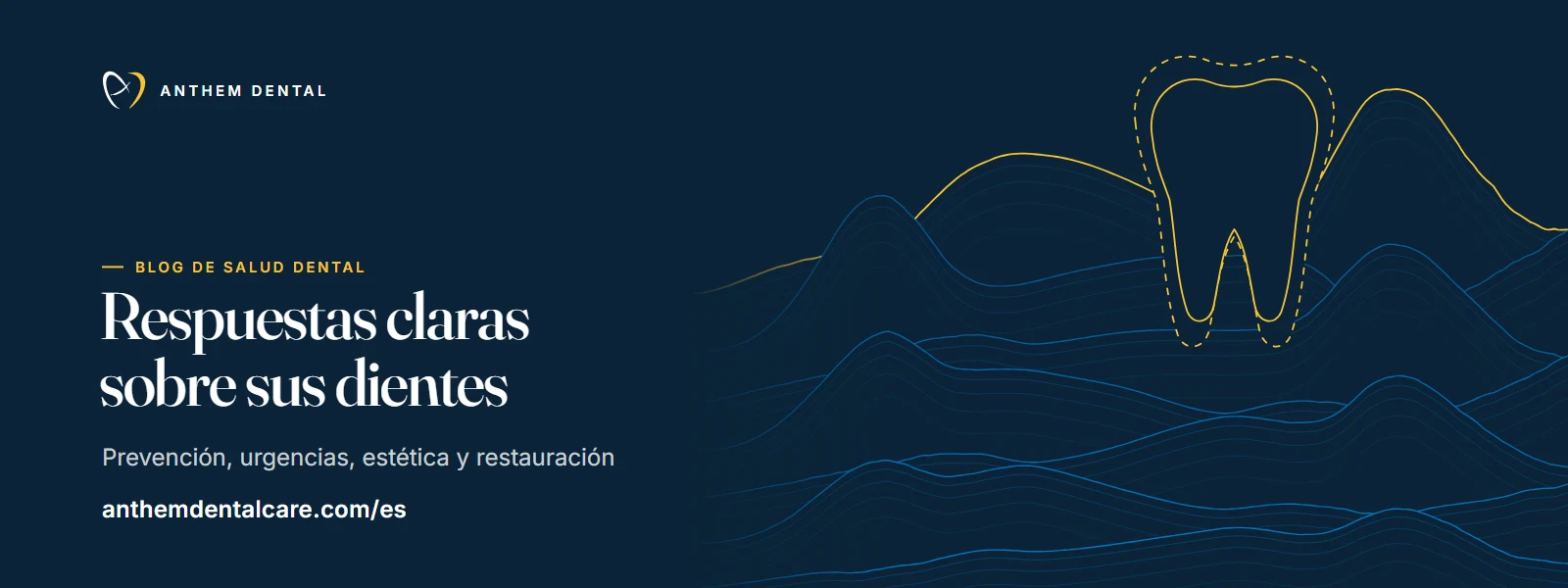 Banner ilustrado en azul noche con líneas de contorno de Anthem Dental, blog de salud dental
