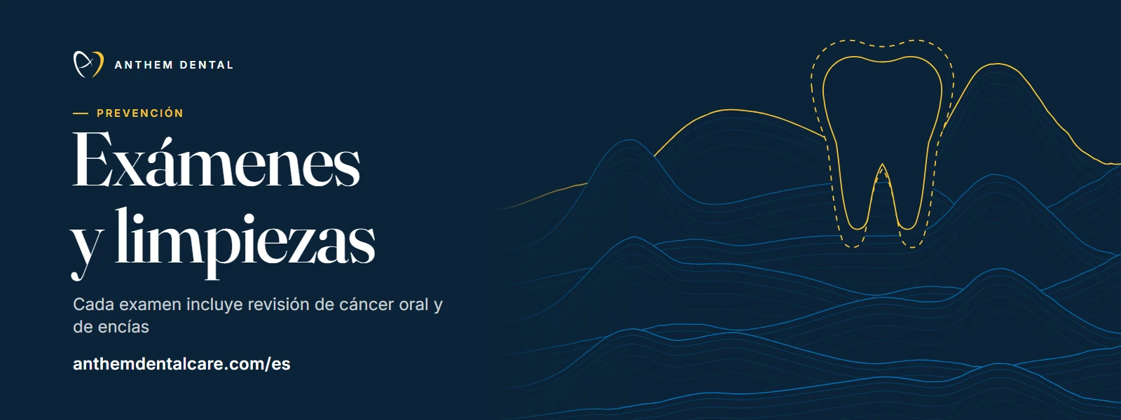 Banner ilustrado en azul noche con líneas de contorno de Anthem Dental, página de exámenes y limpiezas