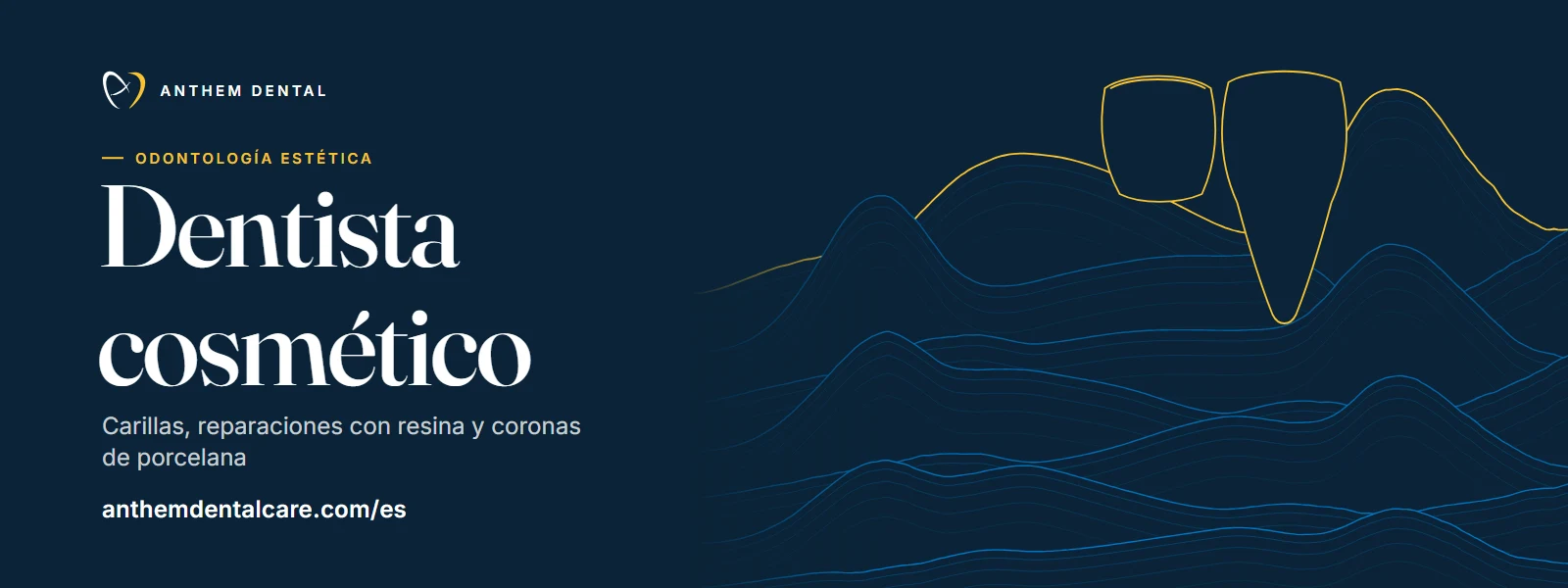 Banner ilustrado en azul noche con líneas de contorno de Anthem Dental, página de odontología estética