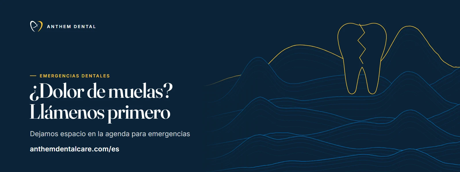 Banner ilustrado en azul noche con líneas de contorno de Anthem Dental, página de emergencias dentales