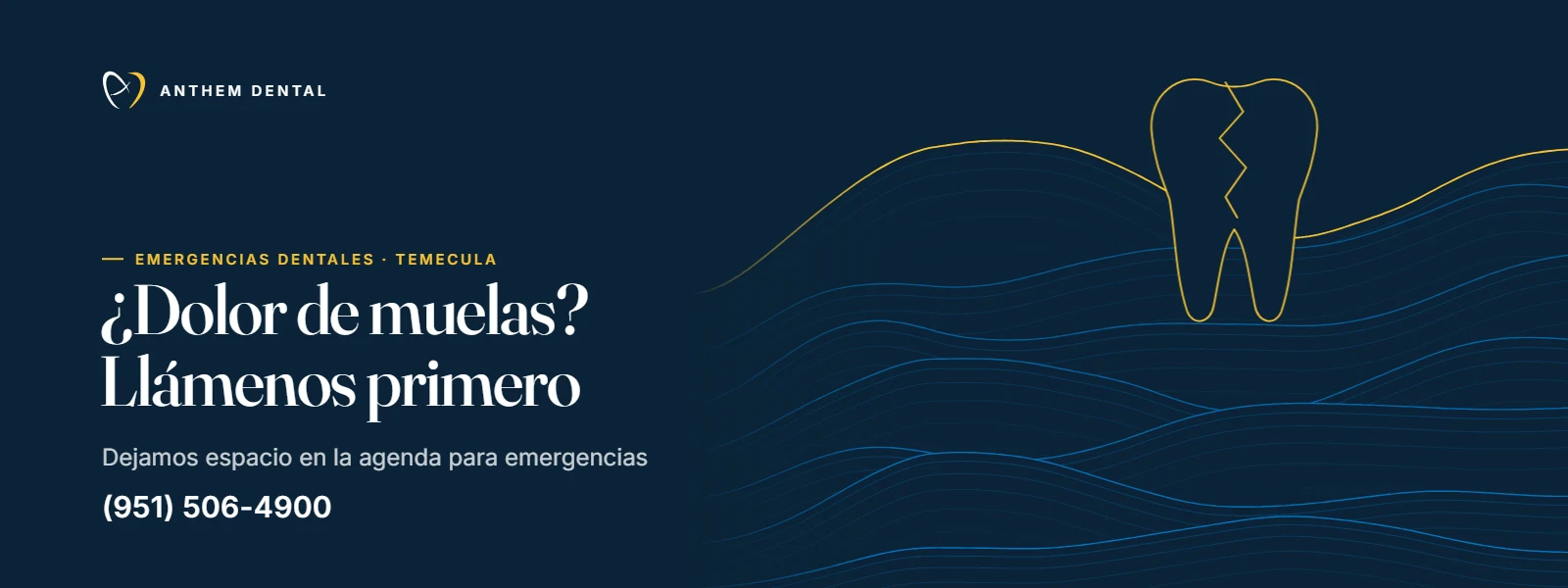 Banner ilustrado en azul noche con líneas de contorno de Anthem Dental Temecula, página de emergencias dentales