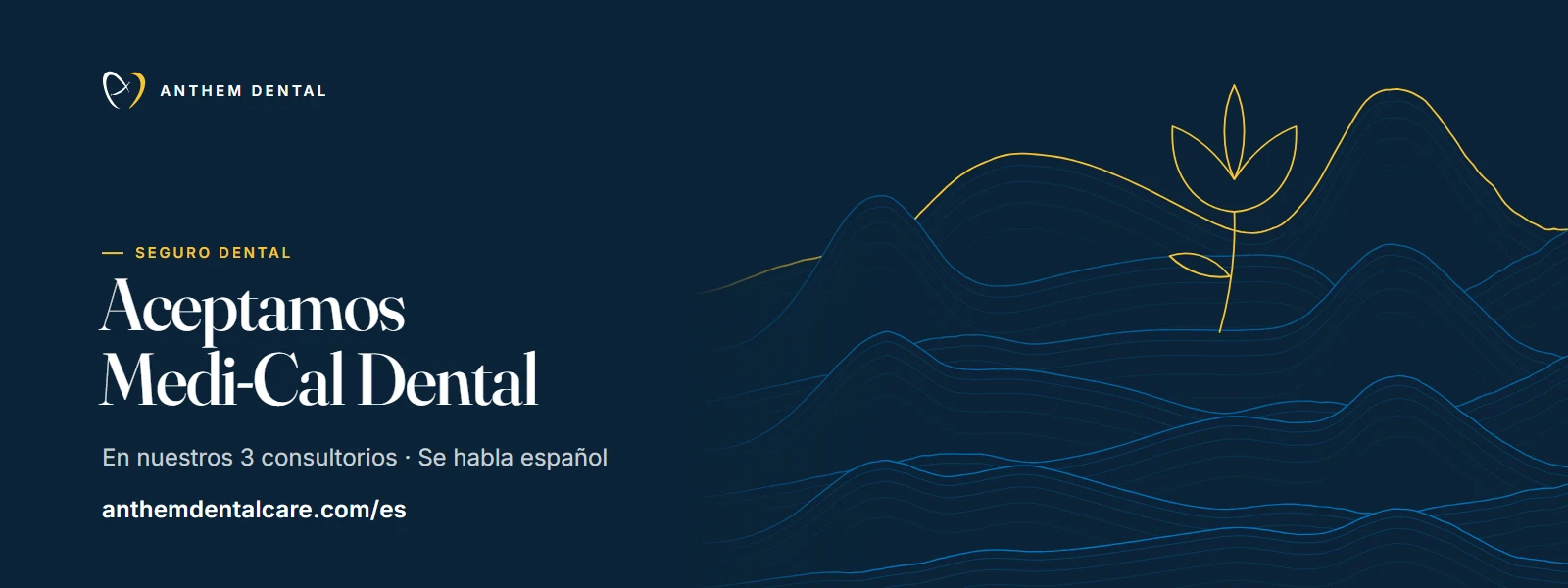 Banner ilustrado en azul noche con líneas de contorno de Anthem Dental, página de Medi-Cal Dental