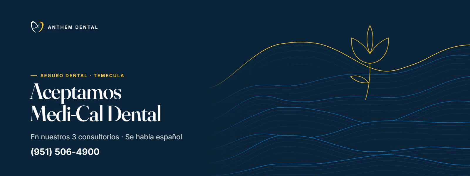 Banner ilustrado en azul noche con líneas de contorno de Anthem Dental Temecula, página de Medi-Cal Dental