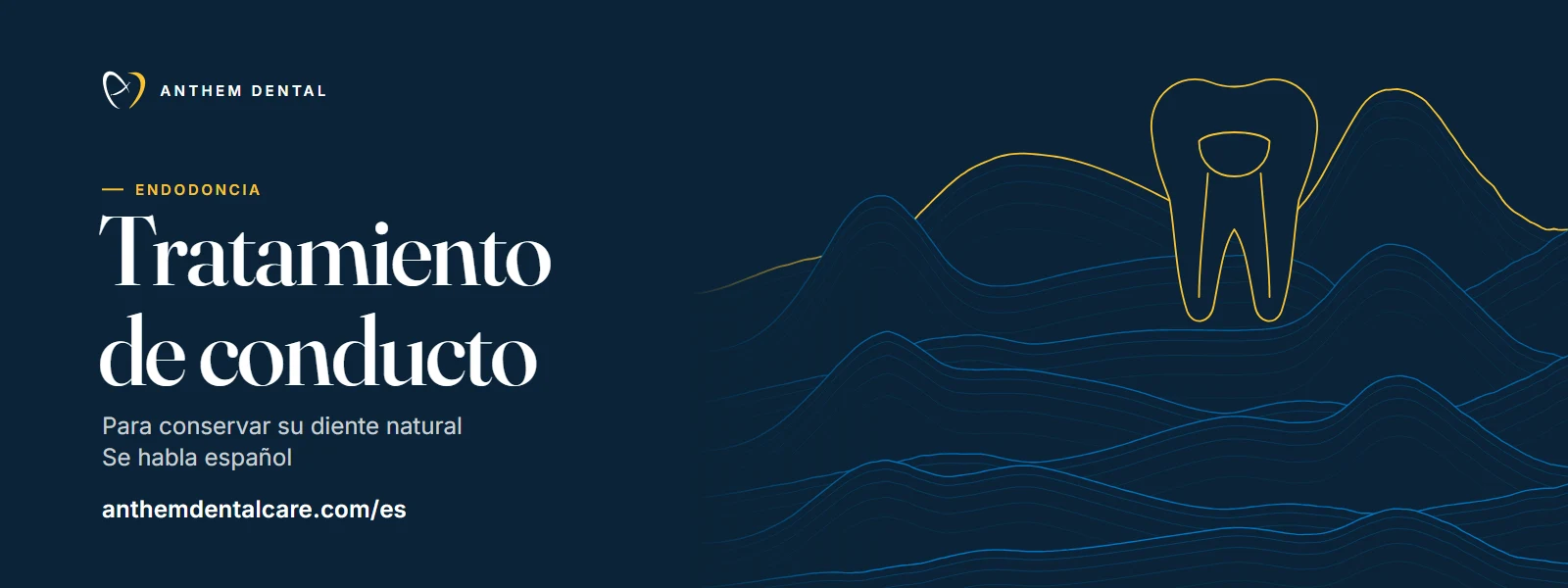 Banner ilustrado en azul noche con líneas de contorno de Anthem Dental, página de tratamiento de conducto