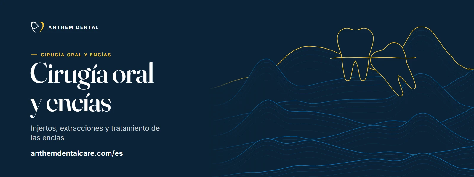 Banner ilustrado en azul noche con líneas de contorno de Anthem Dental, página de cirugía oral y encías