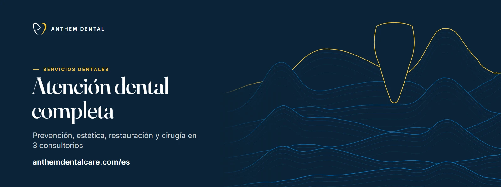 Banner ilustrado en azul noche con líneas de contorno de Anthem Dental, página de servicios dentales