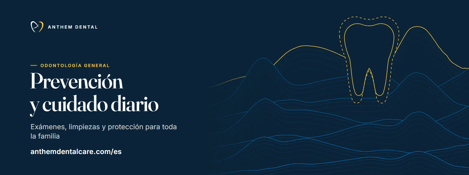 Banner ilustrado en azul noche con líneas de contorno de Anthem Dental, página de odontología general