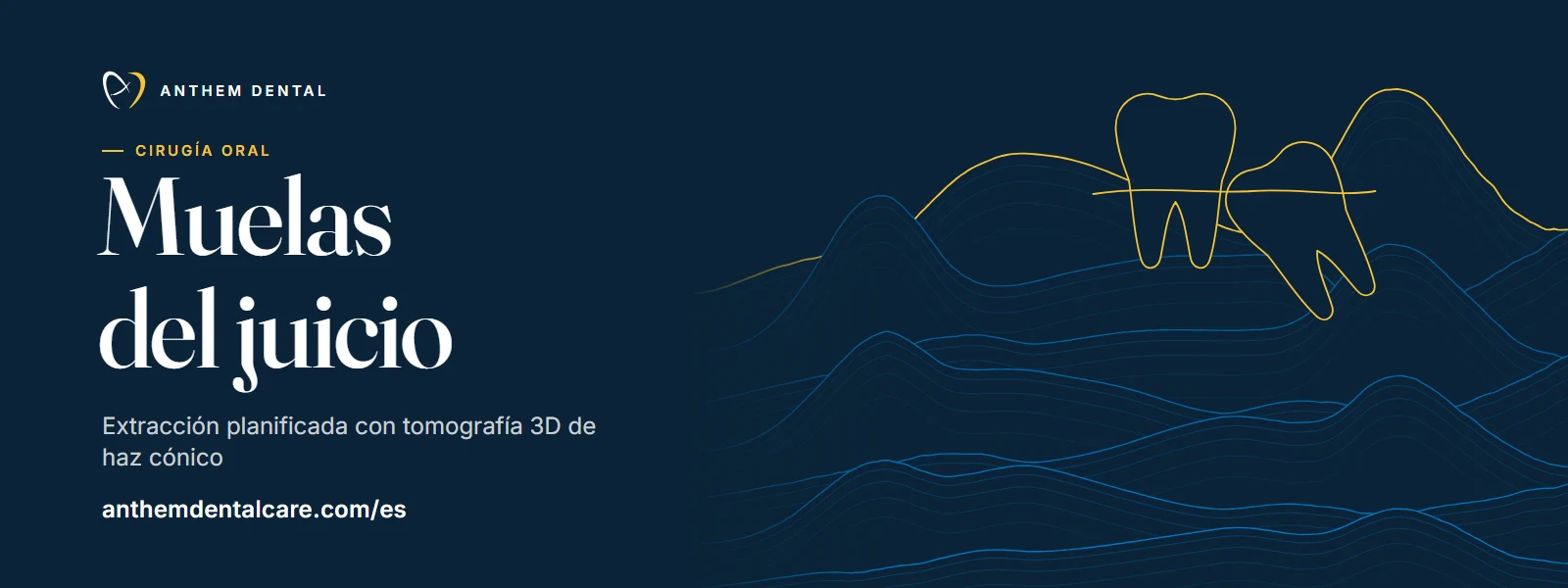 Banner ilustrado en azul noche con líneas de contorno de Anthem Dental, página de muelas del juicio