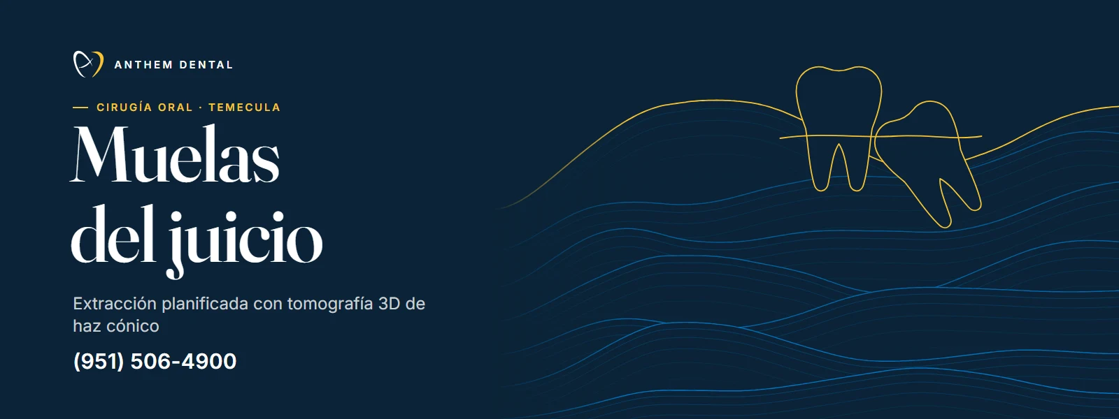 Banner ilustrado en azul noche con líneas de contorno de Anthem Dental Temecula, página de muelas del juicio